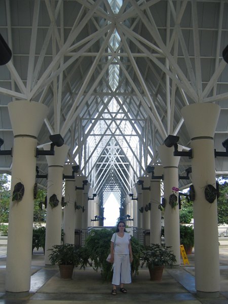 florida 2008 0257