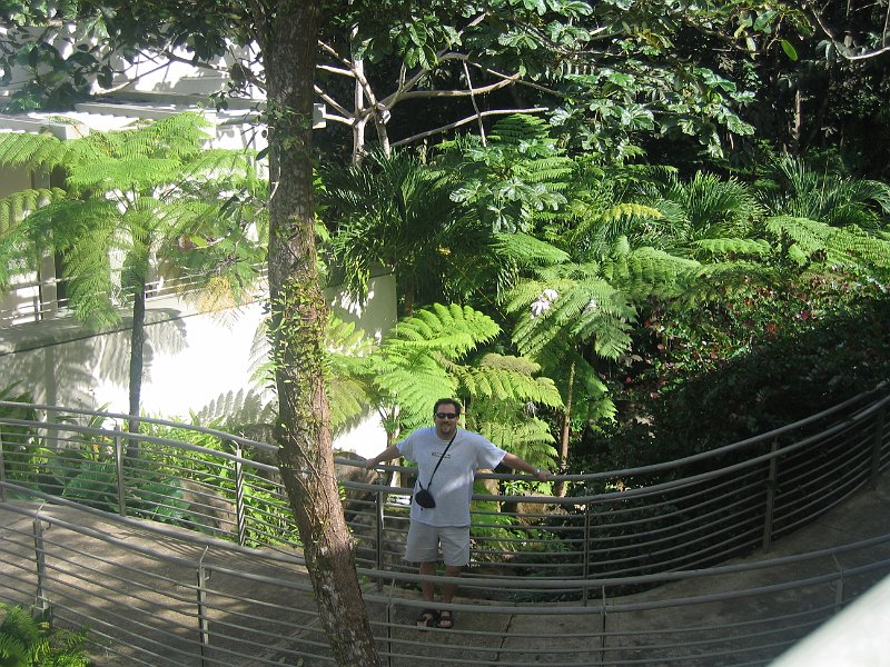 florida 2008 0259