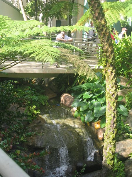 florida 2008 0261