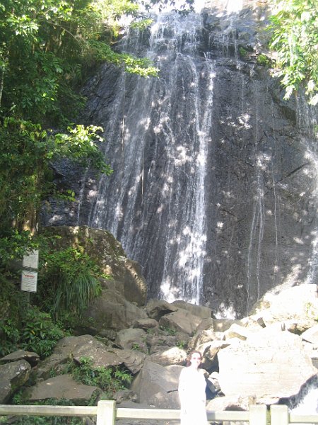 florida 2008 0264