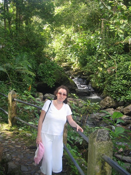 florida 2008 0272