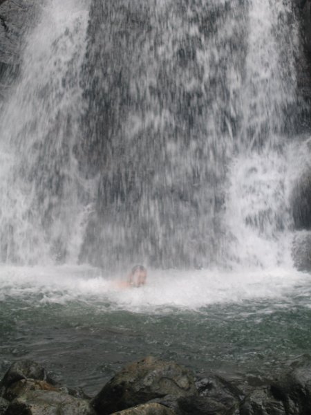 florida 2008 0278