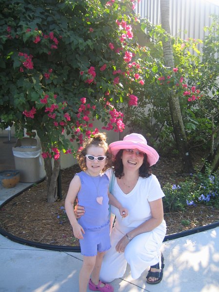 florida 2008 0288