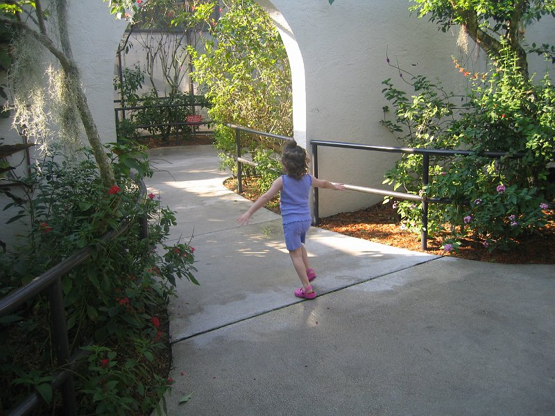 florida 2008 0289