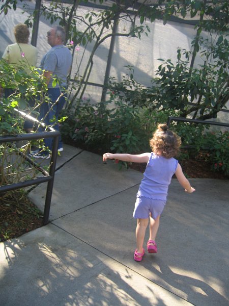 florida 2008 0290