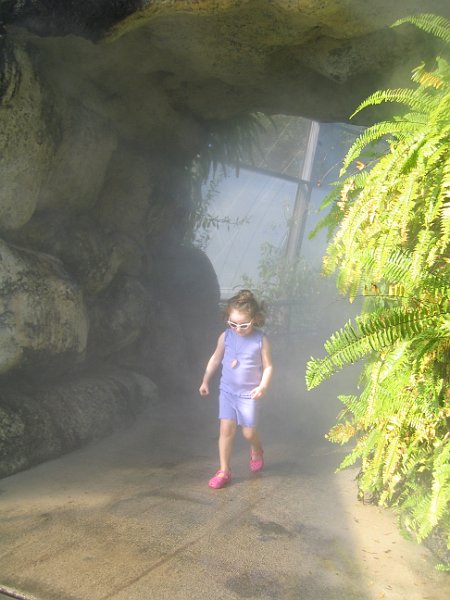 florida 2008 0294