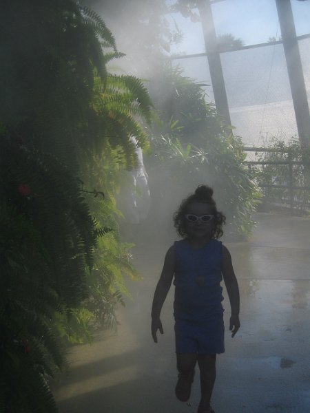 florida 2008 0295