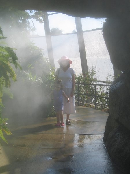florida 2008 0296