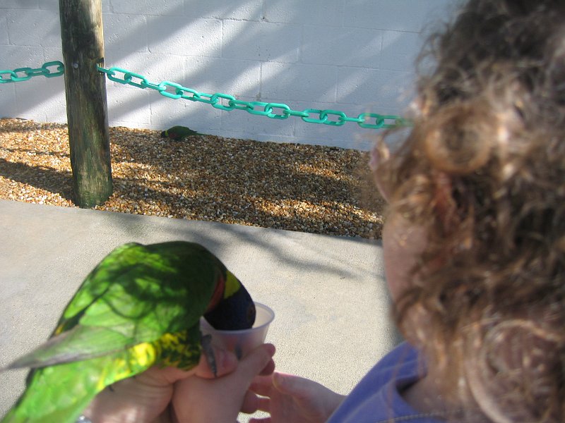 florida 2008 0300