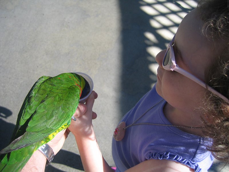 florida 2008 0301