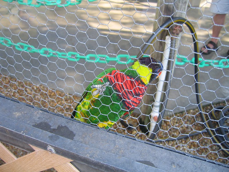 florida 2008 0316