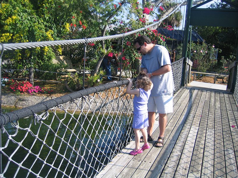florida 2008 0320