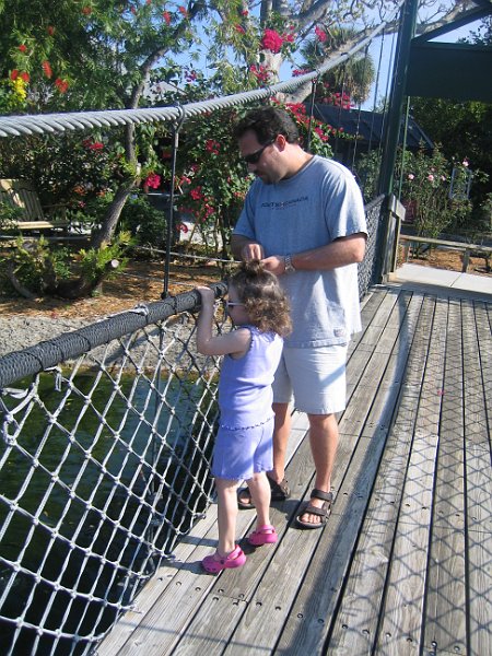 florida 2008 0322