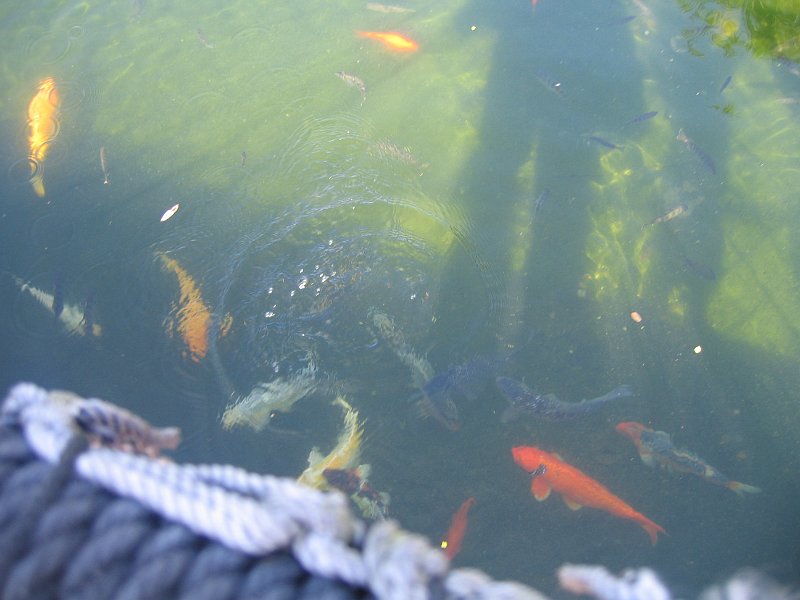 florida 2008 0323