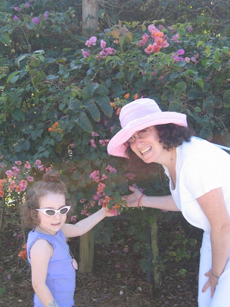 florida 2008 0325