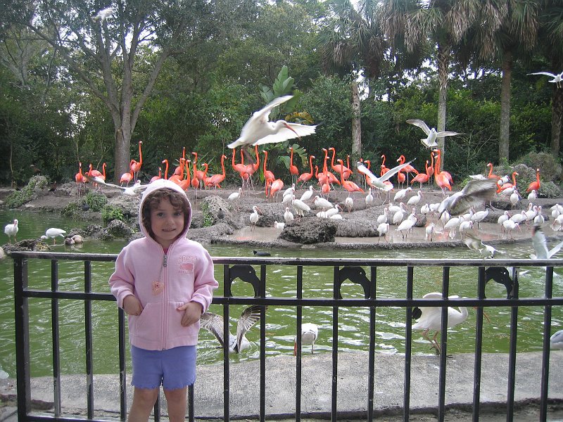 florida 2008 0330