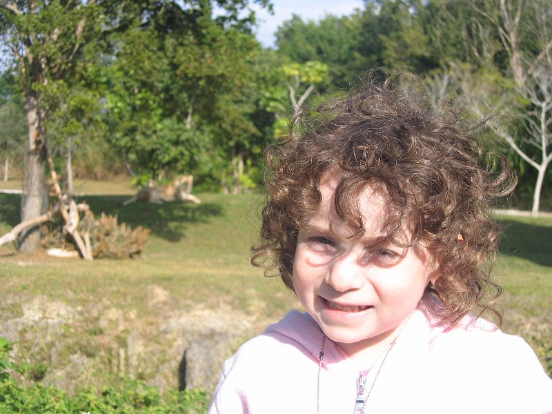 florida 2008 0337