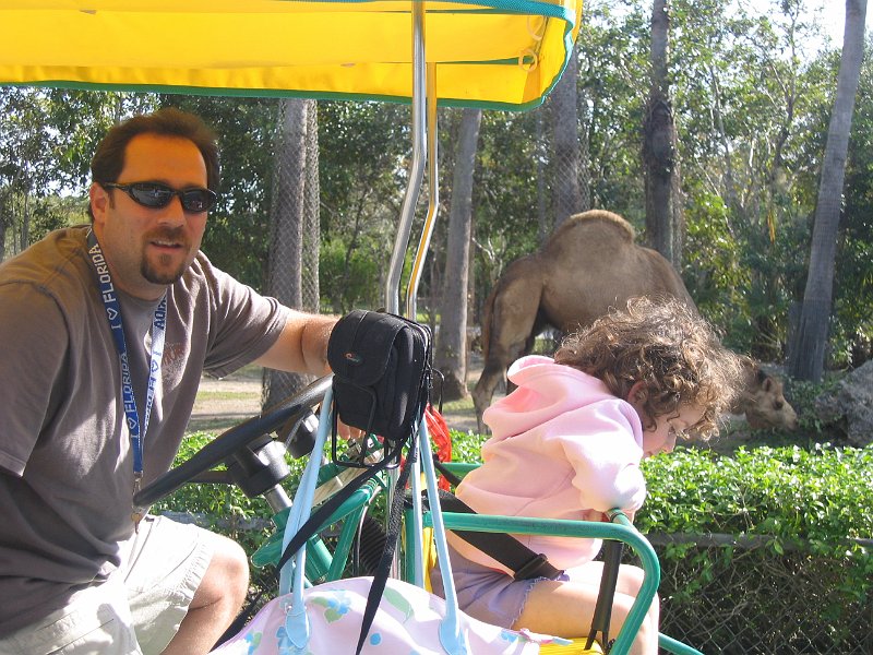 florida 2008 0338