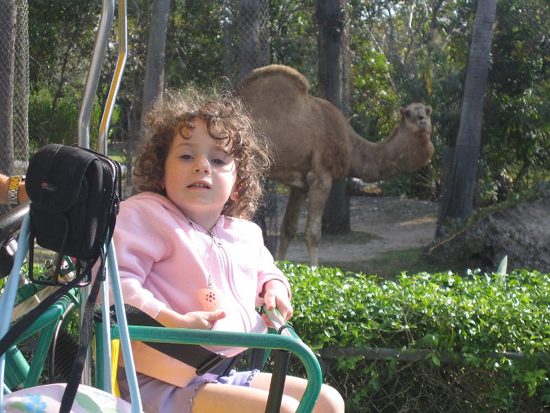 florida 2008 0339