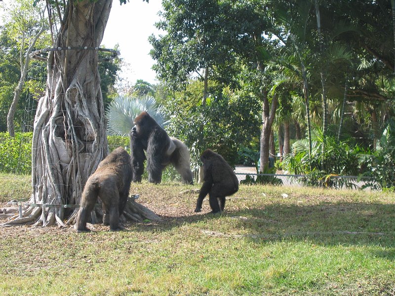florida 2008 0342