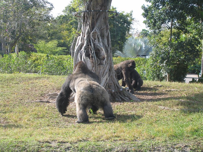 florida 2008 0343