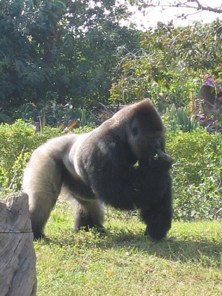 florida 2008 0344