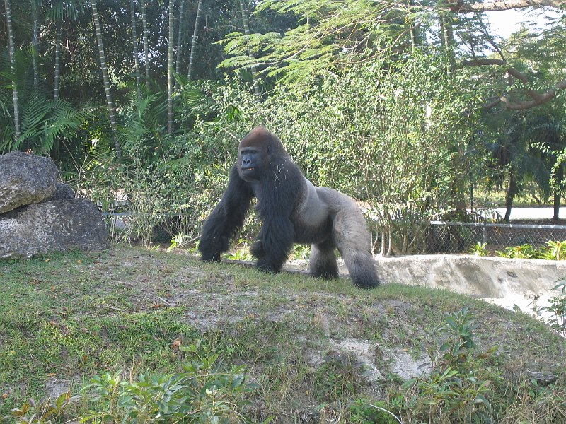 florida 2008 0345