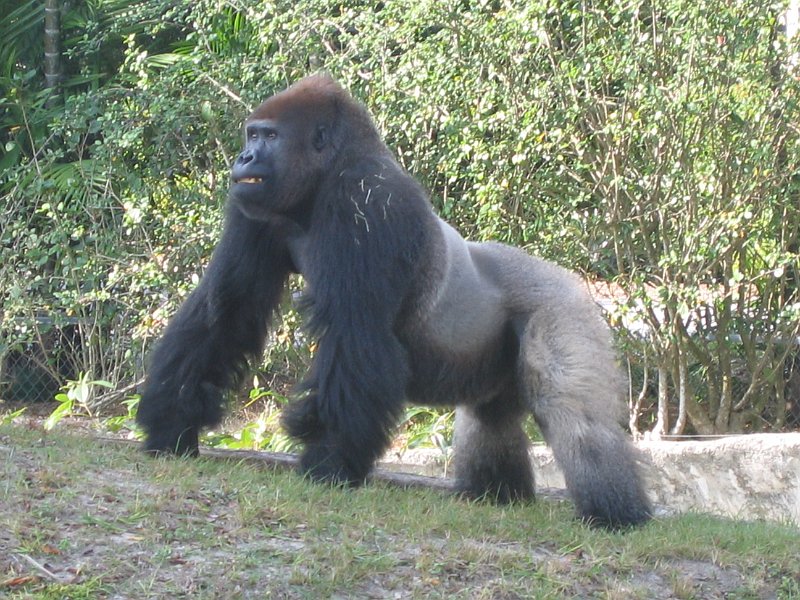 florida 2008 0346