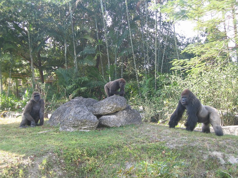 florida 2008 0347
