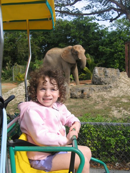 florida 2008 0349