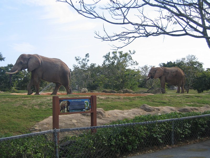 florida 2008 0350
