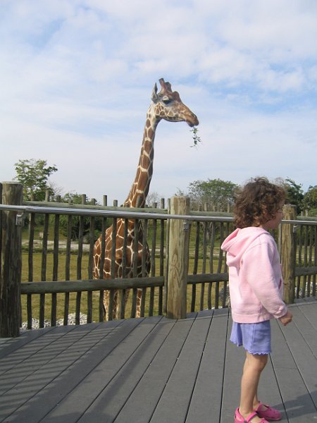 florida 2008 0351