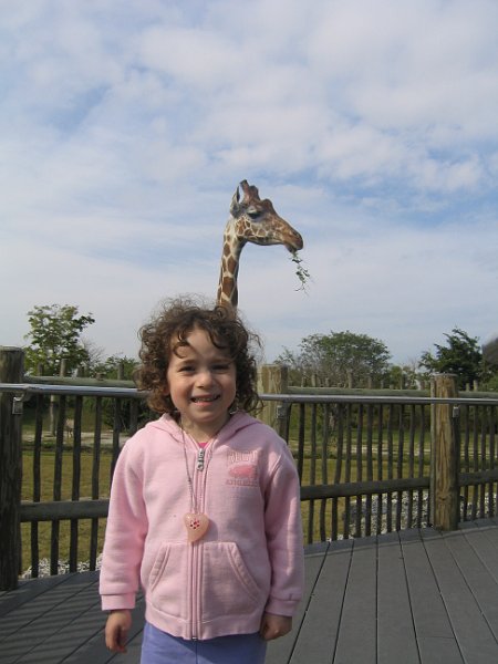 florida 2008 0352