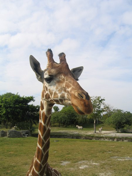 florida 2008 0353