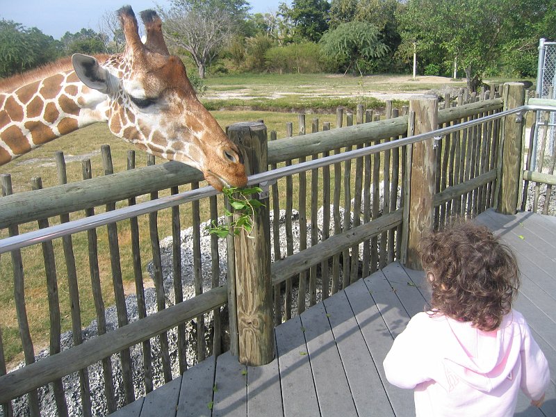 florida 2008 0355