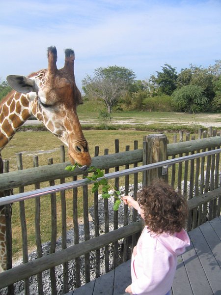 florida 2008 0356