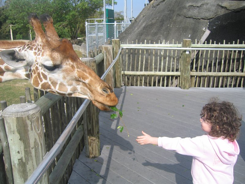 florida 2008 0357
