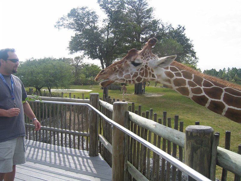 florida 2008 0358