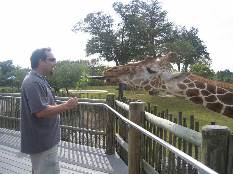 florida 2008 0359
