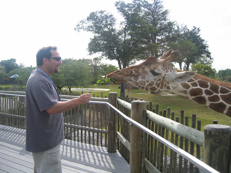 florida 2008 0360