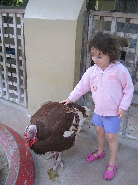 florida 2008 0364