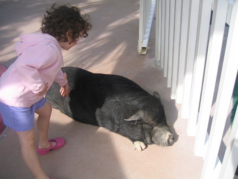 florida 2008 0365