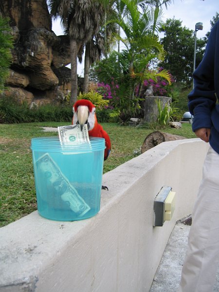 florida 2008 0366