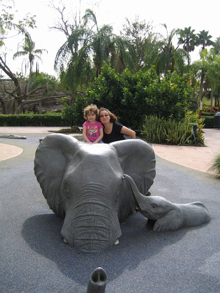 florida 2008 0372