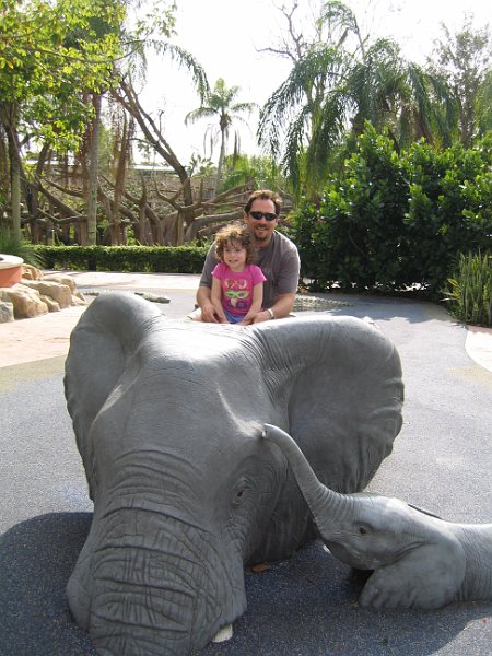florida 2008 0373