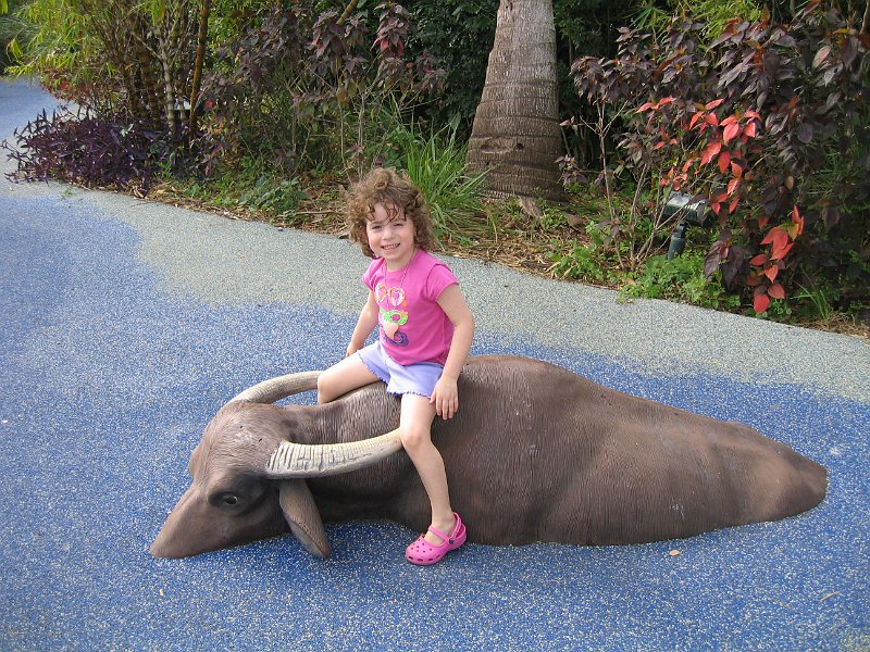 florida 2008 0375