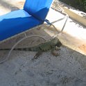 florida 2008 0230