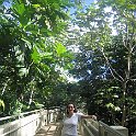 florida 2008 0253
