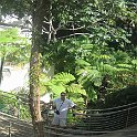 florida 2008 0260