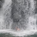 florida 2008 0279
